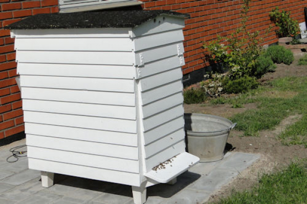 Trugstade p&aring; Nordskovvej